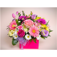 968c66b7-0707-4d3d-bf86-a240313fc5c7